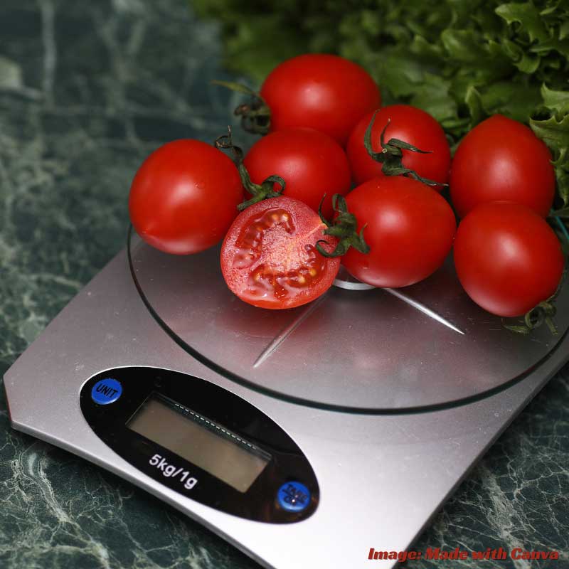 Best kitchen gadgets Kitchen Scales