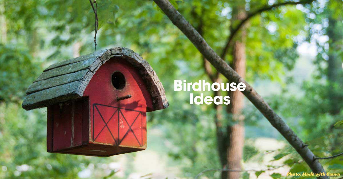 15 DIY Birdhouse Ideas