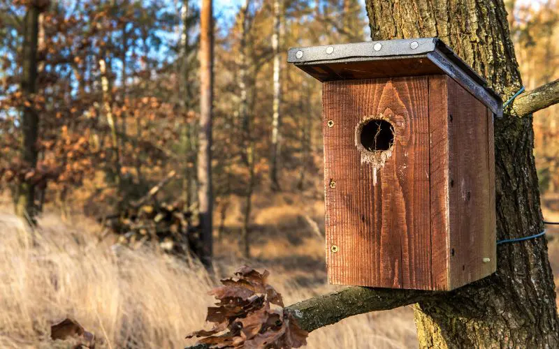 Wooden Birdhouse