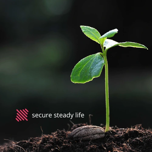 Steadrush Secure Steady life About us page