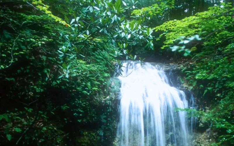 The Biggest Waterfall in Florida