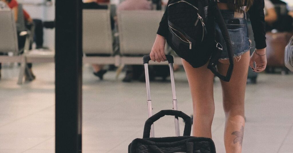 shop cosmetics travel case